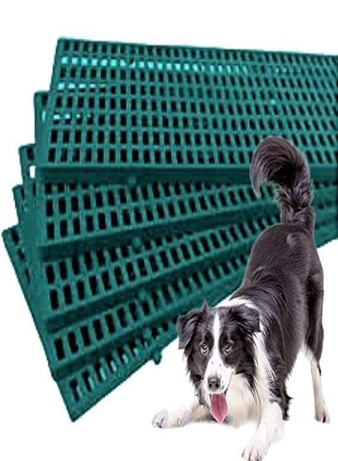 D&C PAWS Multipurpose Heavy Duty 36X12 Inch Rectangular Shape Non Skid Plastic Bottom Flooring Mat Ideal for Dogs, Cats, Rabbit and Goat - Black (Pack of 2 Pcs) - Image 1