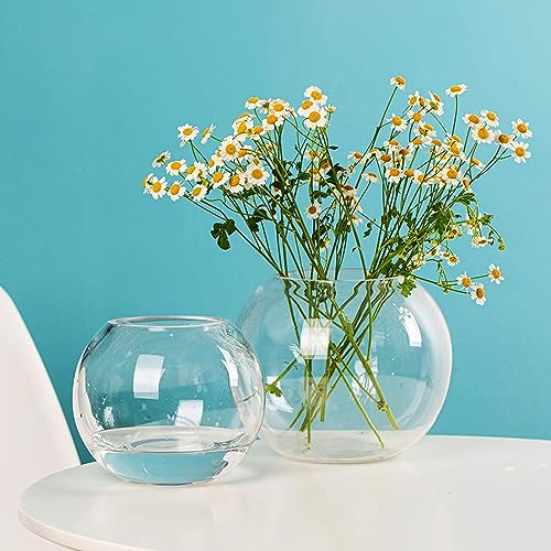 Incrizma Clear Bowl Glass Vase Glass Bubble Bowl Glass Round Vase Clear Bubble Planter Terrarium Fish Bowl Fish Bowl Vase for Wedding Event Home Decor Flowers Fish 15 cm - Image 4