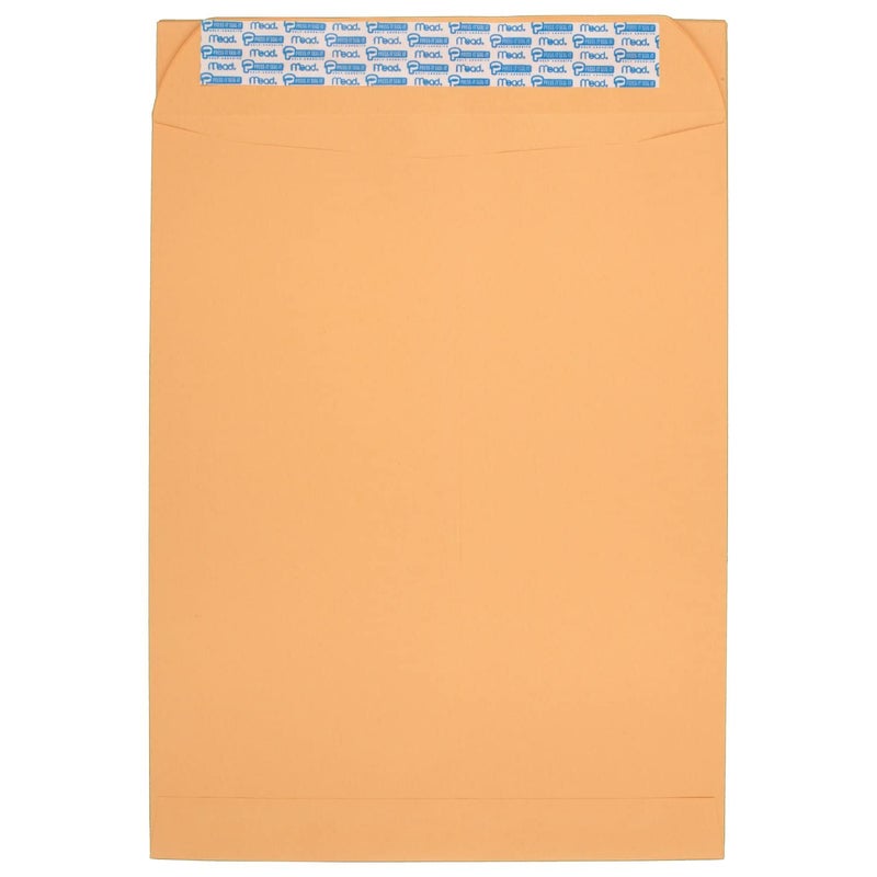 Mead PressIt SealIt Envelopes 10 x 13 Inches Office Pack 20 Count 76088