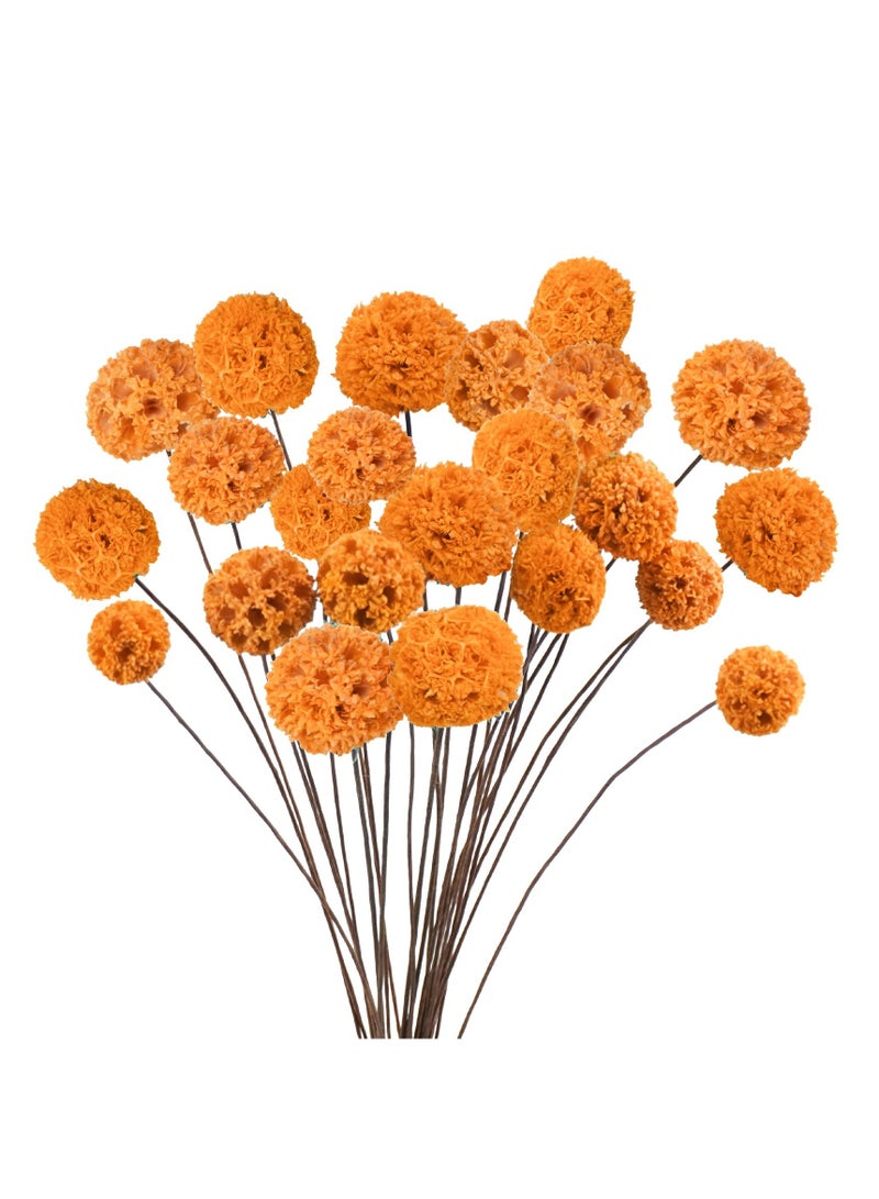 SOLARAE 24 PCS Dried Craspedia Billy Balls Flowers Bouquet 18" Natural Dried Flowers Perfect For Vase Arrangements Wedding Centerpieces Party & DIY Home Decor - Image 1