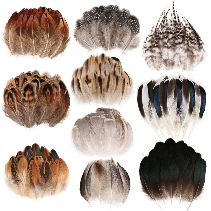 FeelfunFeather 300 pcs Small Feathers 10 Style Mixed Spotted Decorative Natual Pheasant Feather for DIY Crafts Clothing Jewelry Hair Decoration