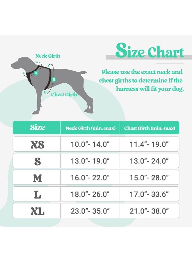 Rabbitgoo Dog Harness No Pull with 2 Leash Clips, Adjustable Soft Padded, Reflective Oxford No Choke Pet Vest with Easy Control Handle for Large Dogs, Turquoise, L - Image 2
