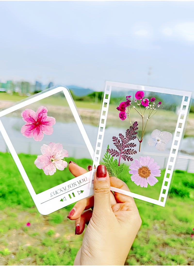 Generic - Transparent bottle stickers diy dried flower bookmarks student creative plant embossing children's handmade specimen making film - Image 1