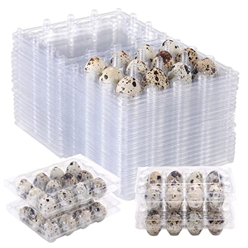 LayHyand 60 Pcs Quail Egg Cartons, Square Dozen Egg Boxes, Classical 3x4 Style Holds Up to Twelve 12 Count Small Quail Eggs Basket, Pigeon Eggs, Bulk Carton Quail Egg Tray Container for Refrigerator - Image 1