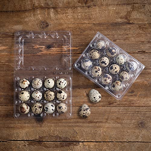 LayHyand 60 Pcs Quail Egg Cartons, Square Dozen Egg Boxes, Classical 3x4 Style Holds Up to Twelve 12 Count Small Quail Eggs Basket, Pigeon Eggs, Bulk Carton Quail Egg Tray Container for Refrigerator - Image 3