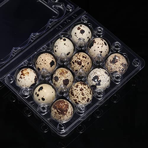LayHyand 60 Pcs Quail Egg Cartons, Square Dozen Egg Boxes, Classical 3x4 Style Holds Up to Twelve 12 Count Small Quail Eggs Basket, Pigeon Eggs, Bulk Carton Quail Egg Tray Container for Refrigerator - Image 5