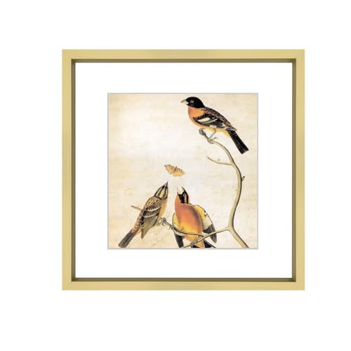 BKABOT 10x10 Picture Frame, Brass Metal Square Photo Frames with HD Glass, Fits 6x6 with Mat or 10 x 10 without Mat, Display for Wall and Table, 1 Pack - Image 1