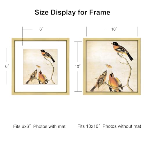 BKABOT 10x10 Picture Frame, Brass Metal Square Photo Frames with HD Glass, Fits 6x6 with Mat or 10 x 10 without Mat, Display for Wall and Table, 1 Pack - Image 2