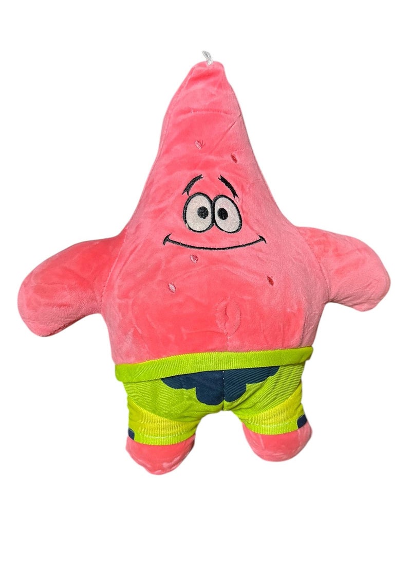 Simple star teddy bear  - Image 1