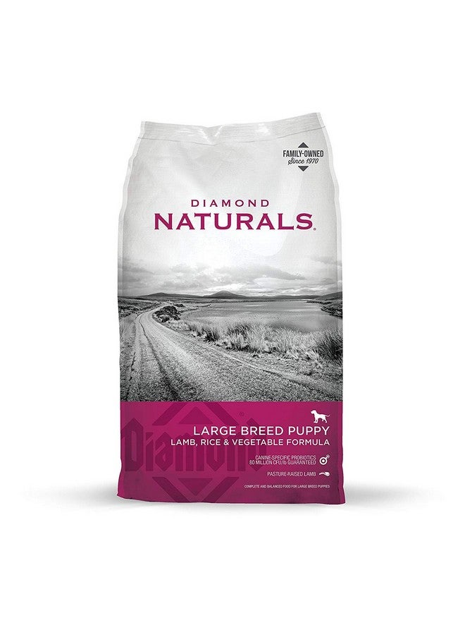 Diamond Naturals Large Breed Puppy Real Lamb Recipe Premium Dry Dog Food, 6 lb - Image 1