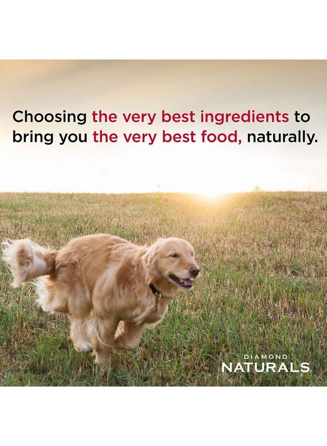 Diamond Naturals Large Breed Puppy Real Lamb Recipe Premium Dry Dog Food, 6 lb - Image 3