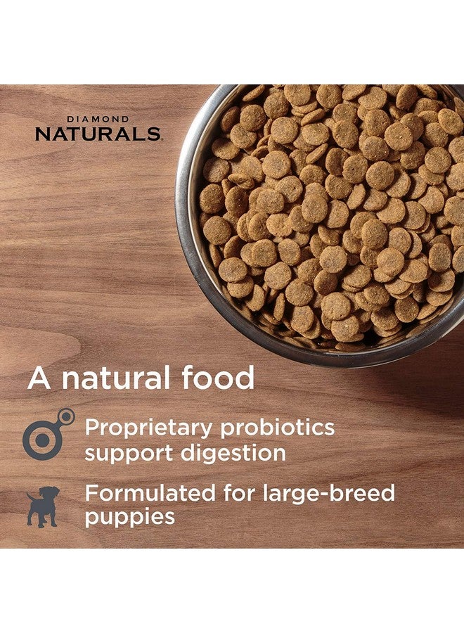 Diamond Naturals Large Breed Puppy Real Lamb Recipe Premium Dry Dog Food, 6 lb - Image 5
