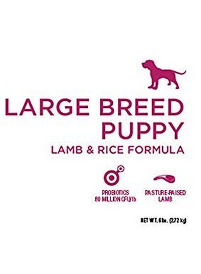 Diamond Naturals Large Breed Puppy Real Lamb Recipe Premium Dry Dog Food, 6 lb - Image 2