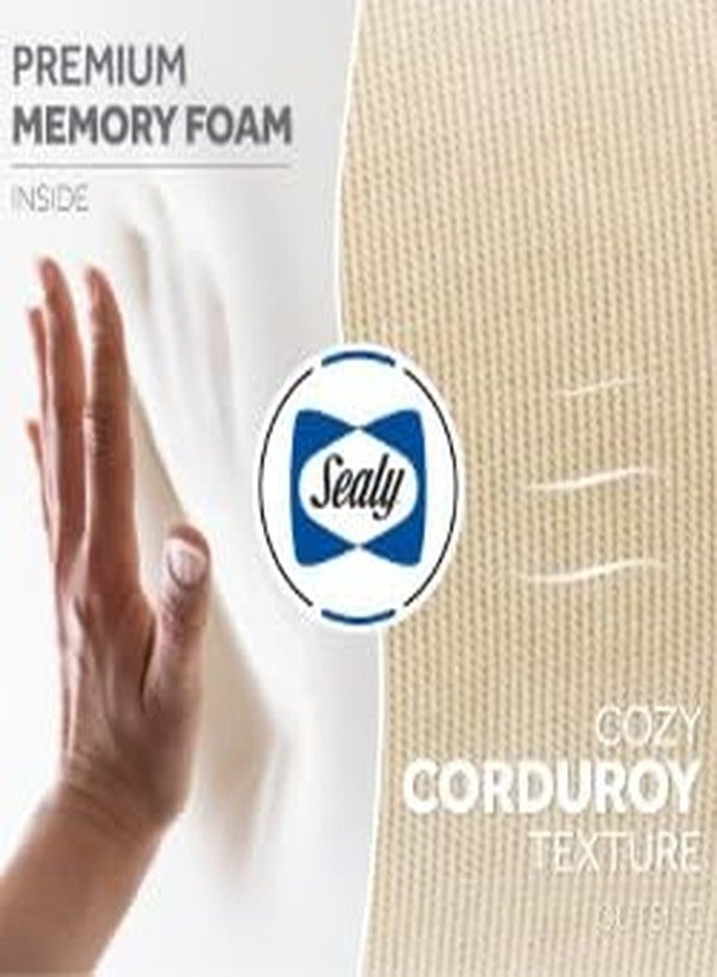 سيلي - وسادة ظهر طبية للكرسي، وسادة لدعم أسفل الظهر، لتخفيف آلام أسفل الظهر، وسادة قطنية من إسفنج الذاكرة - Image 5