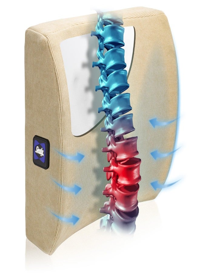 سيلي - وسادة ظهر طبية للكرسي، وسادة لدعم أسفل الظهر، لتخفيف آلام أسفل الظهر، وسادة قطنية من إسفنج الذاكرة - Image 1