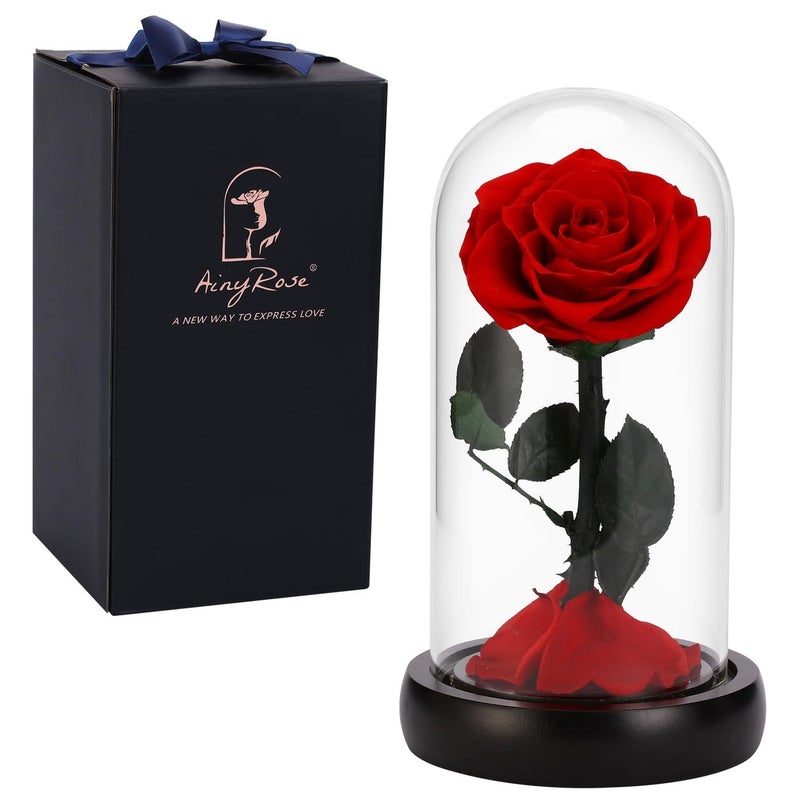 SW Forever Preserved Rose Mother Day Mom Gifts from Daughter SonBirthday Gift for WomenWomen Gift Red Rose Flower in Glass Gifts for Valentines Day Mothers Day Christmas Anniversary Birthday red