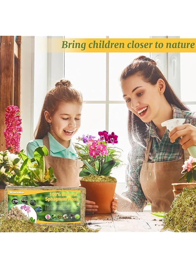 إيروريكس 150 جرام من الطحالب الخضراء للحرف اليدوية والطحلب الاصطناعي والطحلب الزخرفي للنباتات المحفوظة في أصيص وطحلب الأوركيد ومزيج التربة والجفت وطحلب الطحالب وأعمدة الحرف اليدوية والديكورات الزهرية لحفلات الزفاف قطعتان - Image 4