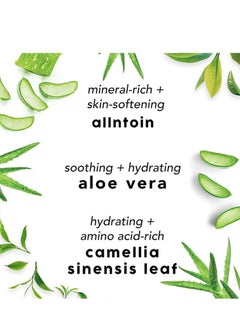 KOEC Facial Spray, Green Tea Aloe Facial Toner Mist, All Natural Pore Minimizer, Calming Skin Treatment, Hydrating Soothing, Skin Treatment for Sensitive, Refreshing, Dry & Combination Types 100ml  - Image 3