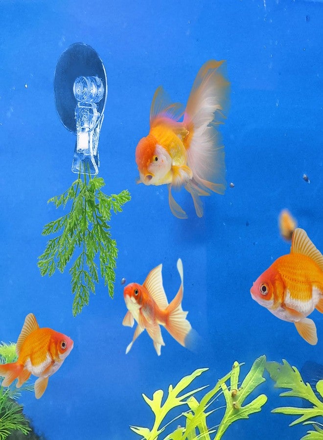AccEncyc 12Pcs Veggie Clips Aquarium Seaweed Clips Fish Food Holder Wide Mouth Clips Plants Suction Cups Algae Clips for Freshwater and Marine Fish Tank (Plastic) - Image 5