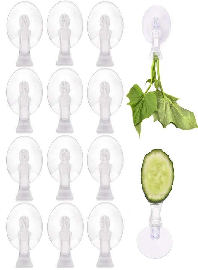 AccEncyc 12Pcs Veggie Clips Aquarium Seaweed Clips Fish Food Holder Wide Mouth Clips Plants Suction Cups Algae Clips for Freshwater and Marine Fish Tank (Plastic) - Image 1