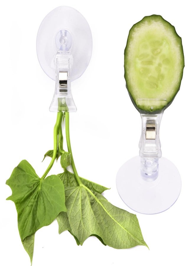 AccEncyc 12Pcs Veggie Clips Aquarium Seaweed Clips Fish Food Holder Wide Mouth Clips Plants Suction Cups Algae Clips for Freshwater and Marine Fish Tank (Plastic) - Image 4
