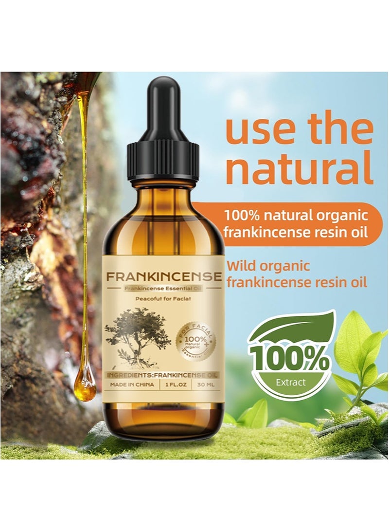 wachinas 100% Natural Frankincense Resin Oil with Dropper - Soothes Irritated Skin,Deep Hydration for All Skin Types,Ideal for Daily Skincare Routine,For Diffuser,Hair Care,Facial Care,Skin Care,Aromatherapy, Scalp and Body Massage,Soap and Candle Making,1 Fl Oz - Image 2