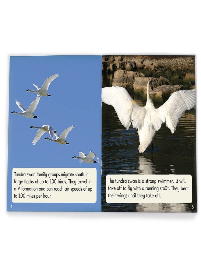 جونيور ليرنينغ سلسلة كتب القراءة القابلة للفك من جونيور ليرنينج، تُصلح اللواحق غير الخيالية، المرحلة 6، تغطي معظم اللواحق والبادئات الشائعة -un، تعلم القراءة، نصوص سهلة الفك، مع 12 كتابًا، للأعمار من 6 سنوات فما فوق، الصف الأول، متوسط - Image 3