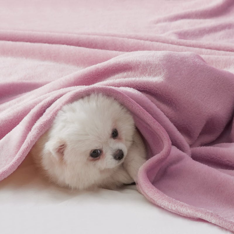 BEAUTEX Fleece Blanket Queen Size Super Soft Flannel Throw Blanket Lightweight Fuzzy Plush Blanket for Couch Sofa or Bed All Seasons (Dusty Pink  90"" x 90"") - Image 4