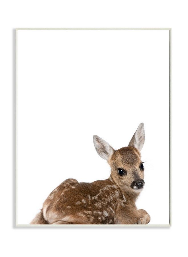 Stupell Industries Stupell Home Décor Baby Fawn Studio Photo Wall Plaque Art 10 X 0.5 X 15 Proudly Made In Usa - Image 2