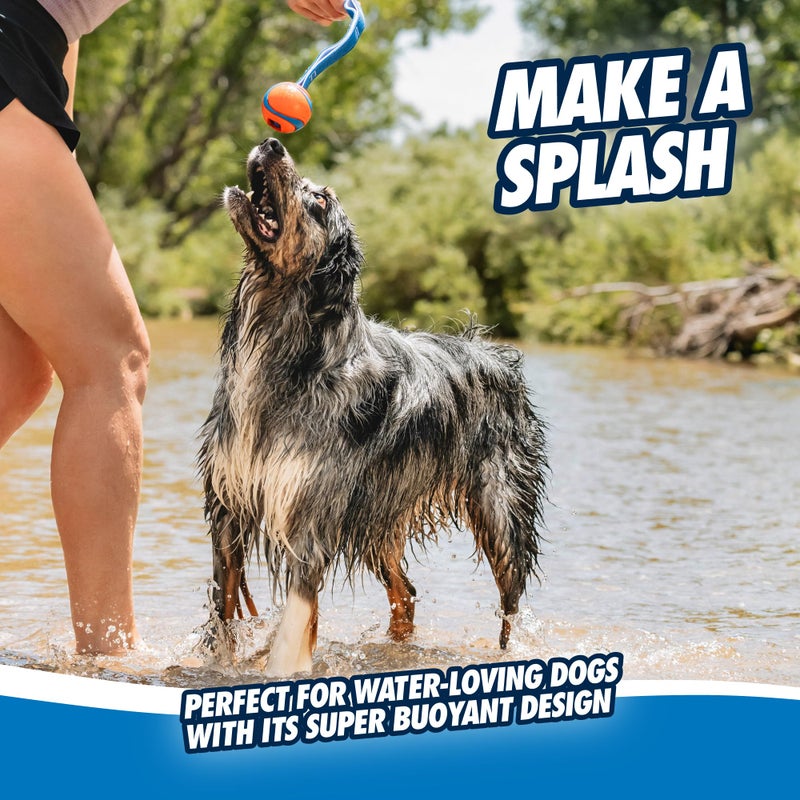 Chuckit! Ultra Tug Dog Toy, Medium Fetch and Dog Ball Tug Toy for Dogs 20-60 Pounds - Image 5