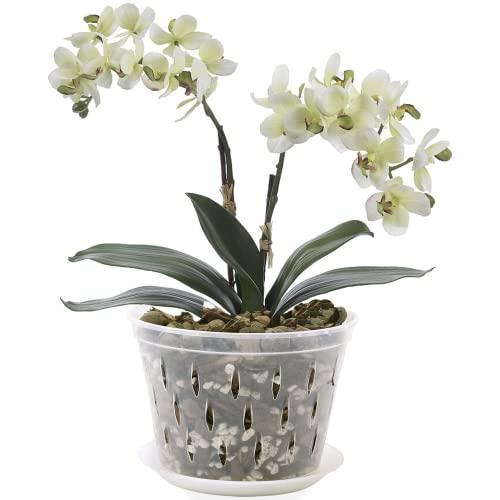 lanccona Orchid Pot, 8 Inch 4 Pack Orchid Pots with Holes and Saucers, Clear Plastic Orchid Pots - Image 5