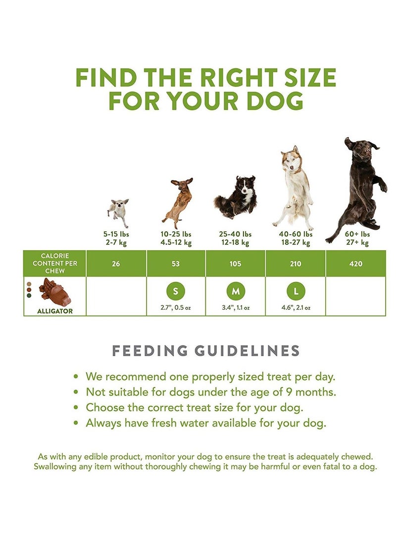 WHIMZEES 24 Count Medium Alligator Chews Gluten Free Natural Dog Treats  - Image 4