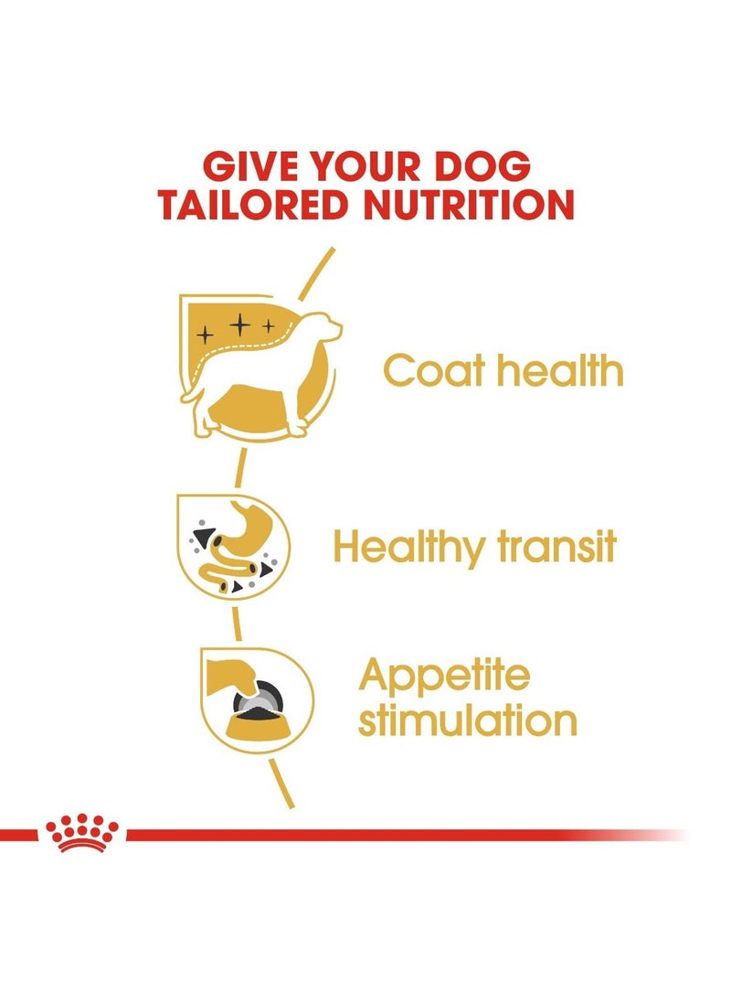 ROYAL CANIN Royal Canin Breed Health Nutrition Chihuahua Adult (WET FOOD - Pouches) 12 x 85g  - Image 5