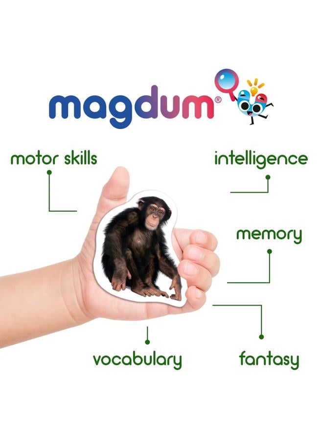 Magdum 110 Fridge Magnets - Toddler Magnets for Refrigerator - Magnetic Animals in Gift Tin Box - Image 4