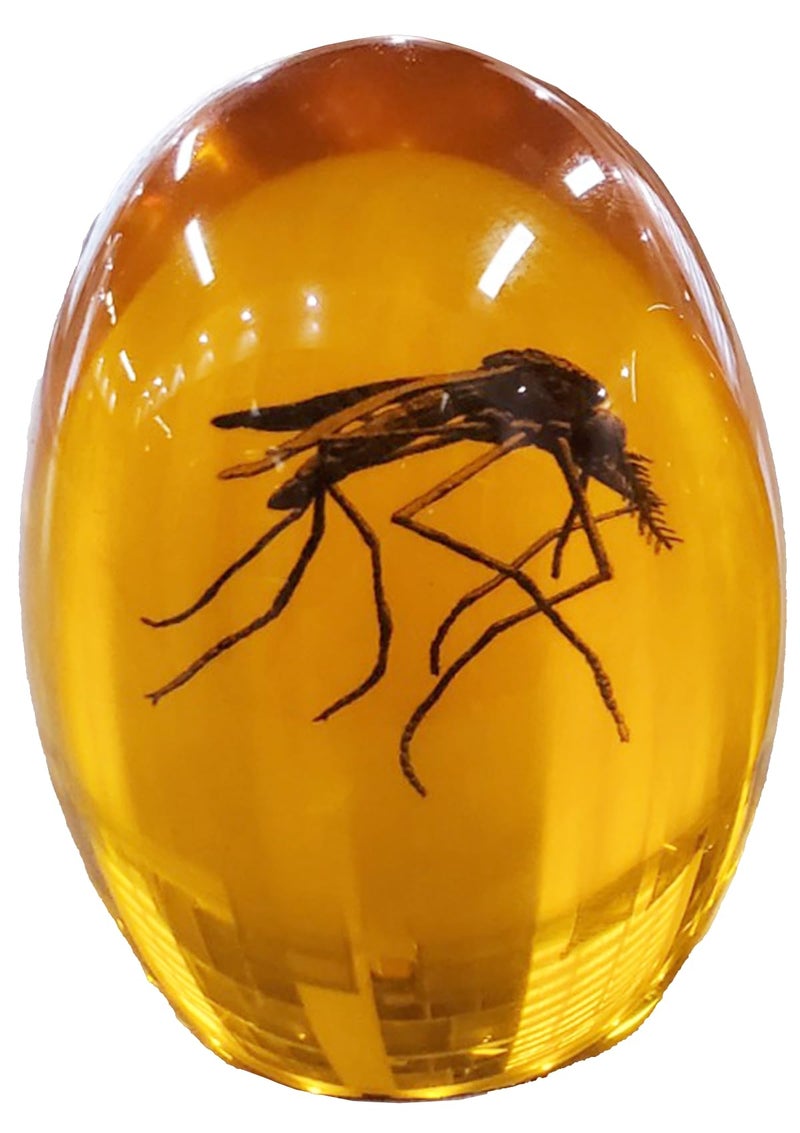 VEOJEIN Jurassic Mosquito in Amber Durable Resin Encased Detailed 2D Insect Perfect for Collectors and Enthusiasts Paperweight Aged Effect Desk Ornament
