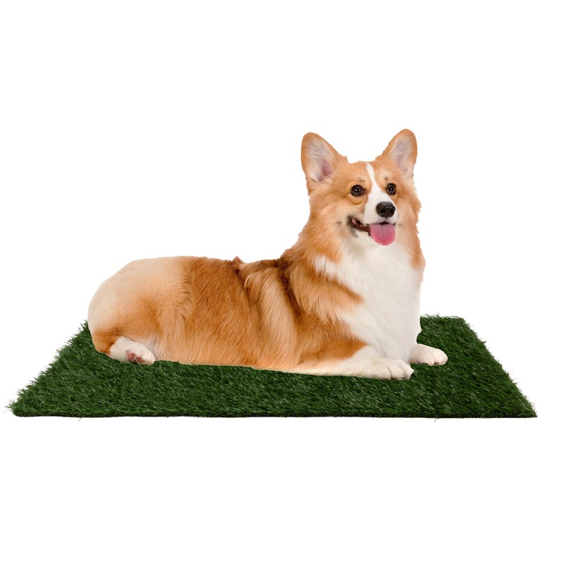 Pee Pads for Dogs Set of Three 23x185Inch Replacement Turf Grass Mats for Potty Training Dog Housebreaking Supplies for Small Pets by PETMAKER Green Medium