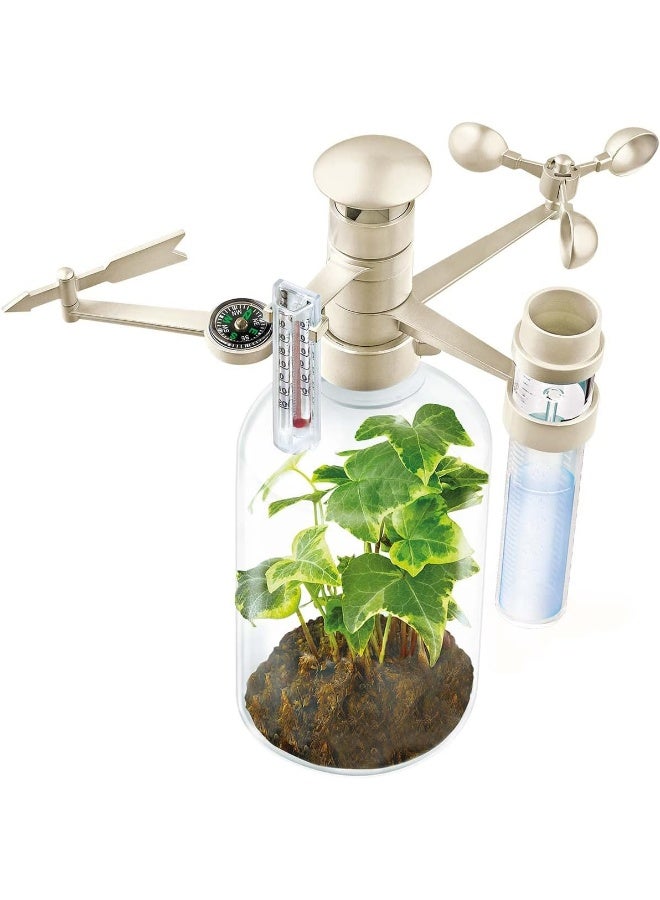 4M Green Science Weather Science Kit – 6 Hands‑On Weather Experiments Including Lightning, Cloud In Palm, Water Cycle & Acid Rain Demonstration – STEM Environmental Activity Ages 8+ | 00-03402 - Image 2
