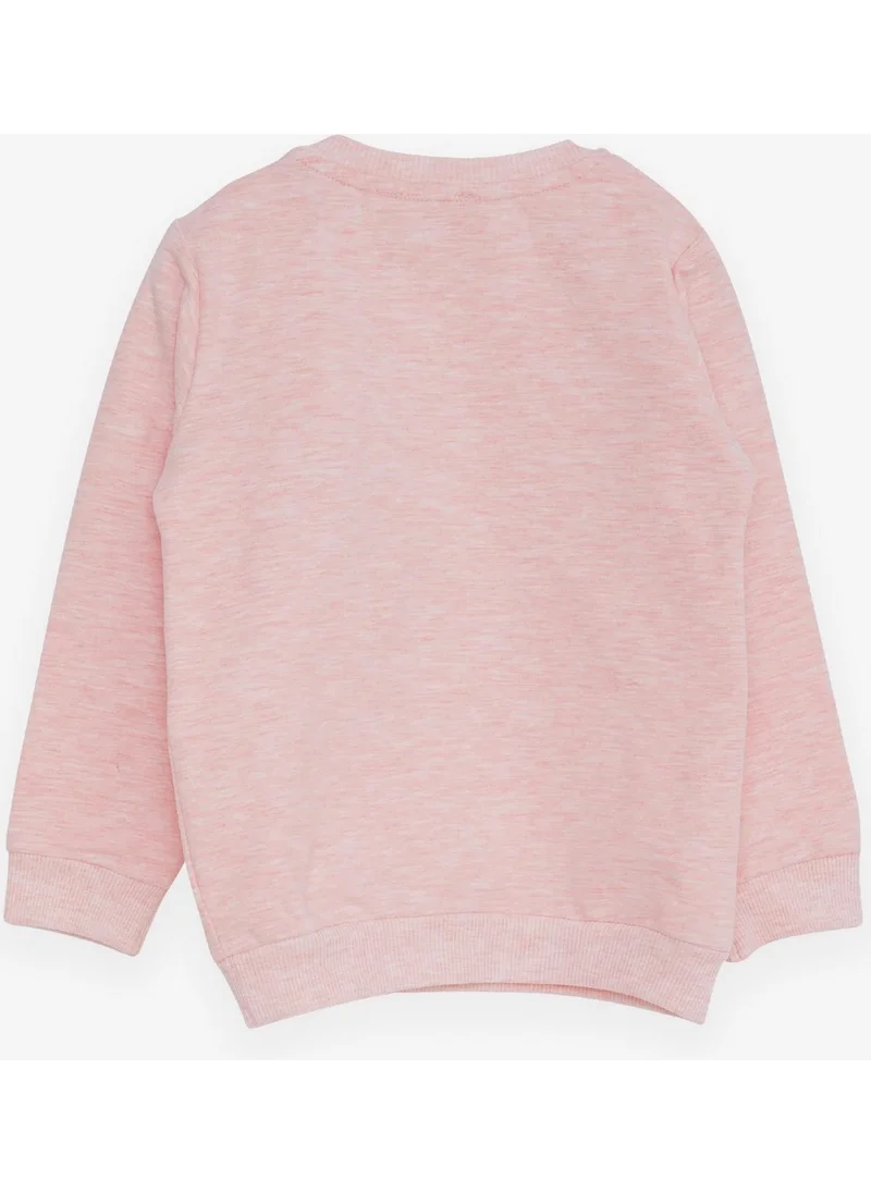Breeze Girl's Sweatshirt with Teddy Bear Accessory, Age 1.5-5, Salmon Melange
