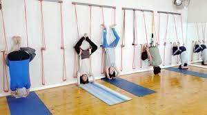The Yogis Iyengar Wall Yoga Ropes full Set of - 4 Ropes (2 Long, 2 Small) With 1 Yoga Belt And 4 Wall Hook Fasteners - Image 5