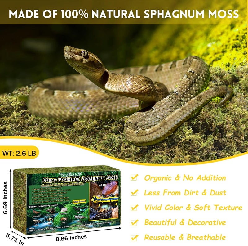 Riare 2.6LB Premium Sphagnum Moss for Reptiles- 100QT Natural Live Moss Reptile Moss Bedding for Terrarium, Hatching, Forest Sphagnum Moss Reptile Substrate for Snakes, Gecko, Turtles, Frogs, Leopard - Image 2