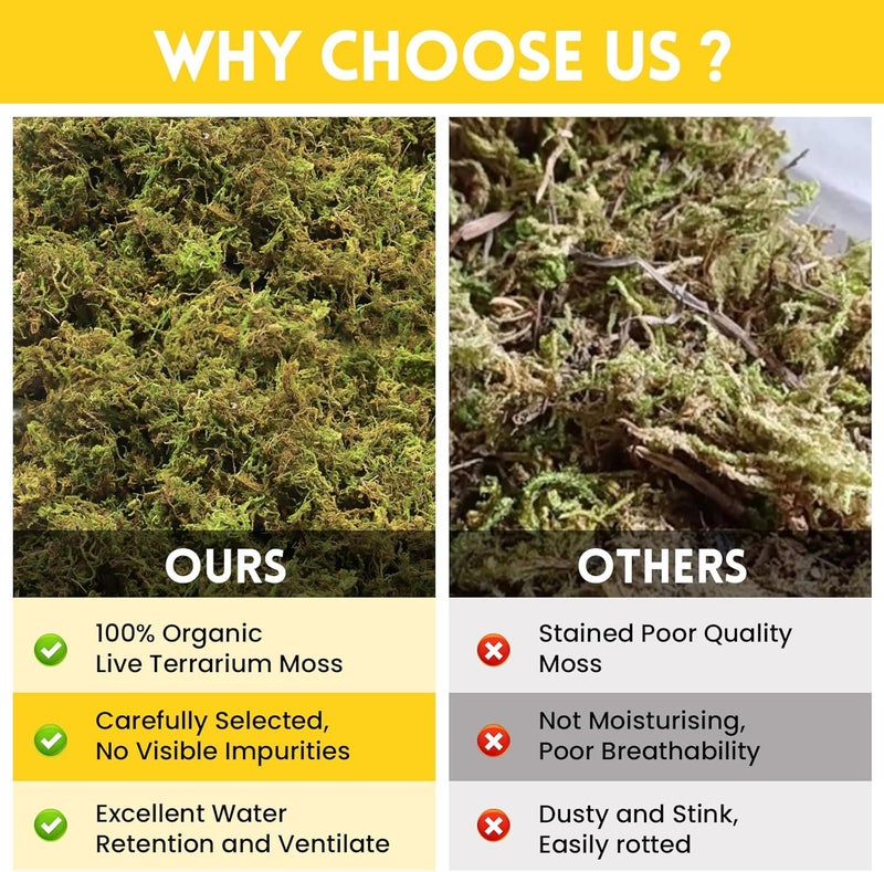 Riare 2.6LB Premium Sphagnum Moss for Reptiles- 100QT Natural Live Moss Reptile Moss Bedding for Terrarium, Hatching, Forest Sphagnum Moss Reptile Substrate for Snakes, Gecko, Turtles, Frogs, Leopard - Image 5