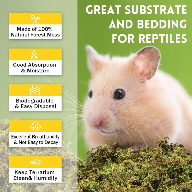 Riare 2.6LB Premium Sphagnum Moss for Reptiles- 100QT Natural Live Moss Reptile Moss Bedding for Terrarium, Hatching, Forest Sphagnum Moss Reptile Substrate for Snakes, Gecko, Turtles, Frogs, Leopard - Image 3