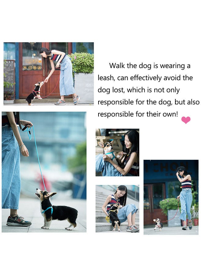 Neostyle Dog Harness,Dog Collar and Dog Leash Set,Adjustable Lightweight Pet Harness & Leash,Soft Walking Travel Petsafe Harness,Suitable for Medium and Small Cat and Dogs(Blue(3-piece set)) - Image 5