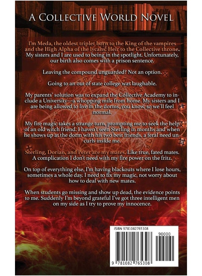 Independently Published Hell Fire: A Collective World Novel  - Image 2