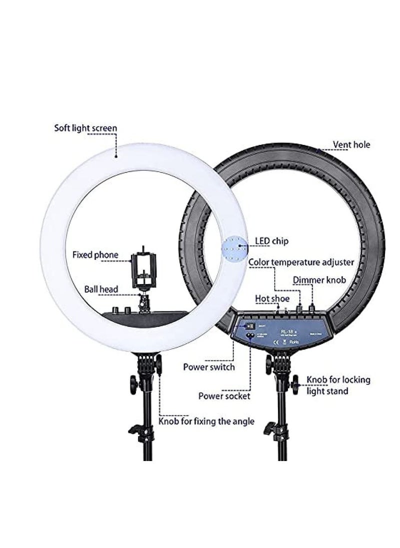 RL21 بوصة حلقة ضوء ترايبود LED ضوء حلقة لينة مع جهاز التحكم عن بعد - pzsku/Z99A44FAA2EE2A7C49C6CZ/45/_/1728375461/a0223fd3-aa97-4903-9c8f-886c758d8a19