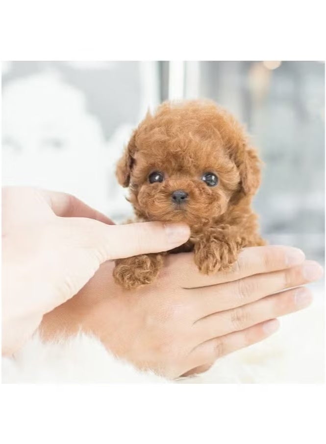 Select the robot dog Nico by number, robot puppy that behaves like a real dog, realistic robot AI pet dog, Nico robot puppy, electronic interactive plush dog that sits, barks, walks and runs B - Image 4