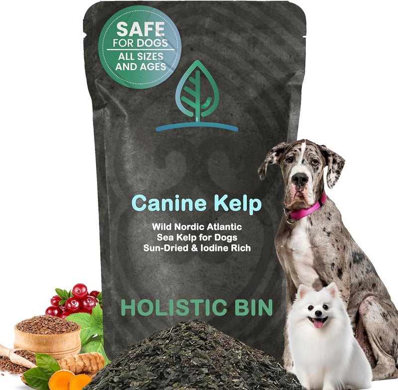 Holistic Bin Canine Atlantic Sea Kelp for Dogs | All Natural Dog Food Topper for Digestive Health, Skin and Coat Health, and Immune Support | Rich in Vitamins, Minerals, and Calcium for Dogs (50g) - Image 1