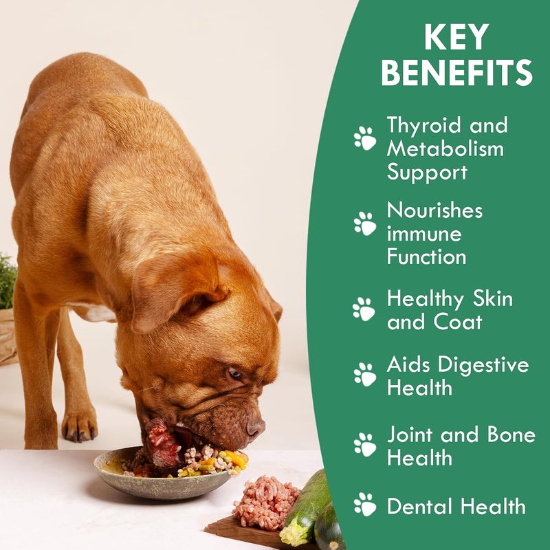 Holistic Bin Canine Atlantic Sea Kelp for Dogs | All Natural Dog Food Topper for Digestive Health, Skin and Coat Health, and Immune Support | Rich in Vitamins, Minerals, and Calcium for Dogs (50g) - Image 2