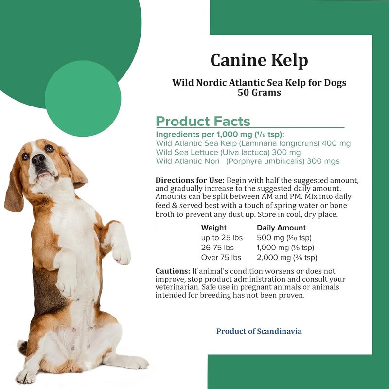 Holistic Bin Canine Atlantic Sea Kelp for Dogs | All Natural Dog Food Topper for Digestive Health, Skin and Coat Health, and Immune Support | Rich in Vitamins, Minerals, and Calcium for Dogs (50g) - Image 4
