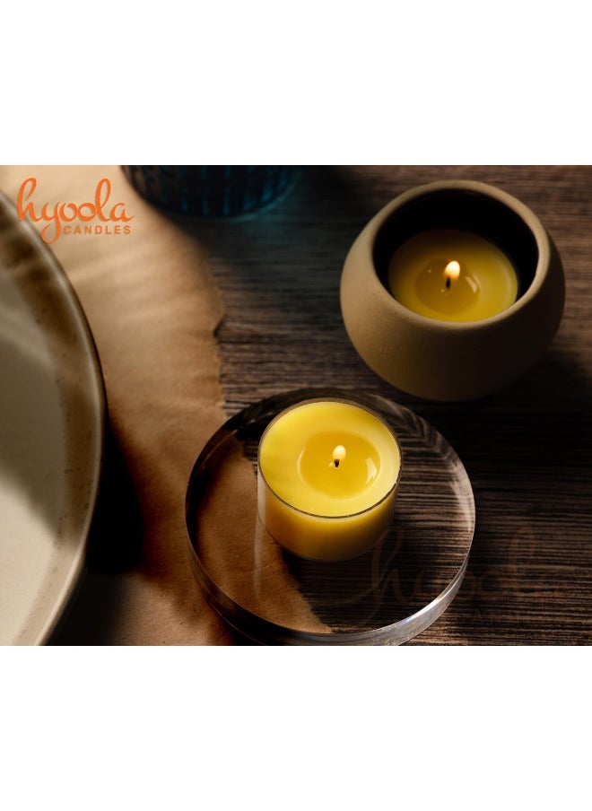 Generic - Tealight Citronella Candles Outdoor 8 Hour Burn Time Indoor And Outdoor Mosquito Insect And Bug Repellent Citronella Candle Natural Fresh Scent Decorative In Clear Cup 40 Pack - Image 1